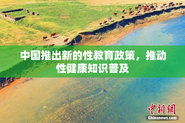 中国推出新的性教育政策，推动性健康知识普及