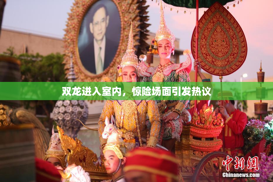 双龙进入室内，惊险场面引发热议