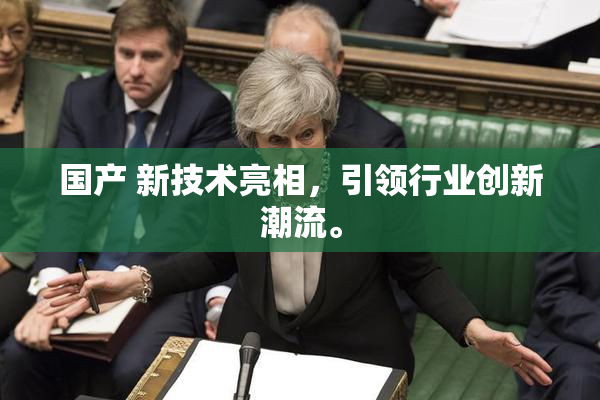 国产 新技术亮相，引领行业创新潮流。