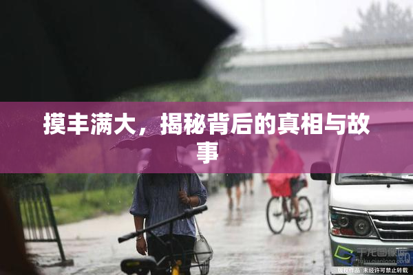 摸丰满大，揭秘背后的真相与故事