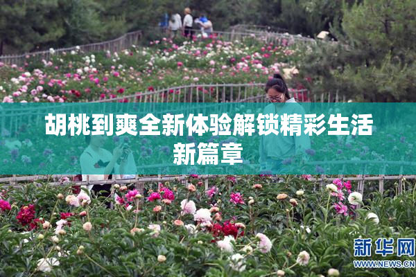 胡桃到爽全新体验解锁精彩生活新篇章