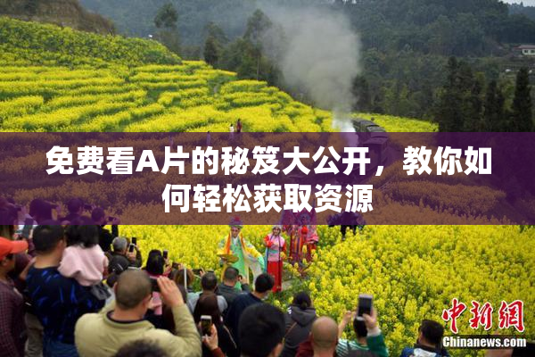 免费看A片的秘笈大公开，教你如何轻松获取资源