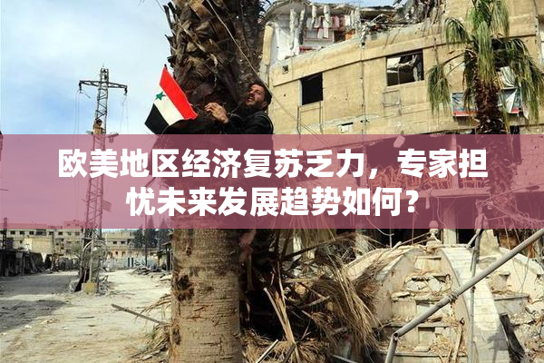 欧美地区经济复苏乏力，专家担忧未来发展趋势如何？