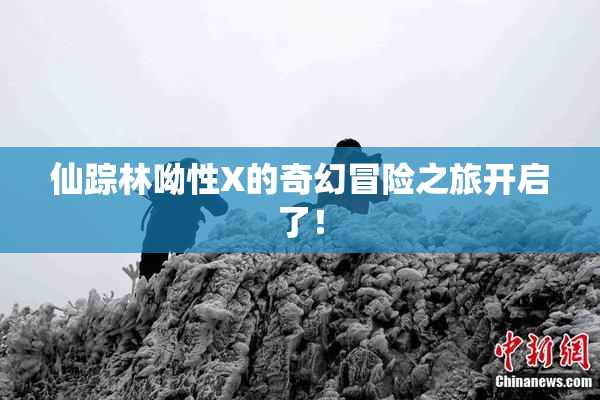 仙踪林呦性X的奇幻冒险之旅开启了！