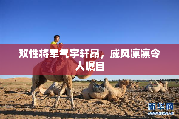 双性将军气宇轩昂，威风凛凛令人瞩目