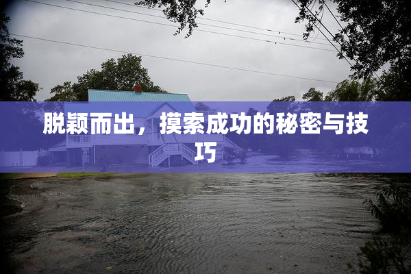 脱颖而出，摸索成功的秘密与技巧