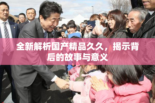 全新解析国产精品久久，揭示背后的故事与意义