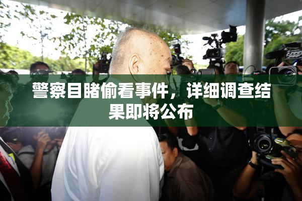 警察目睹偷看事件，详细调查结果即将公布