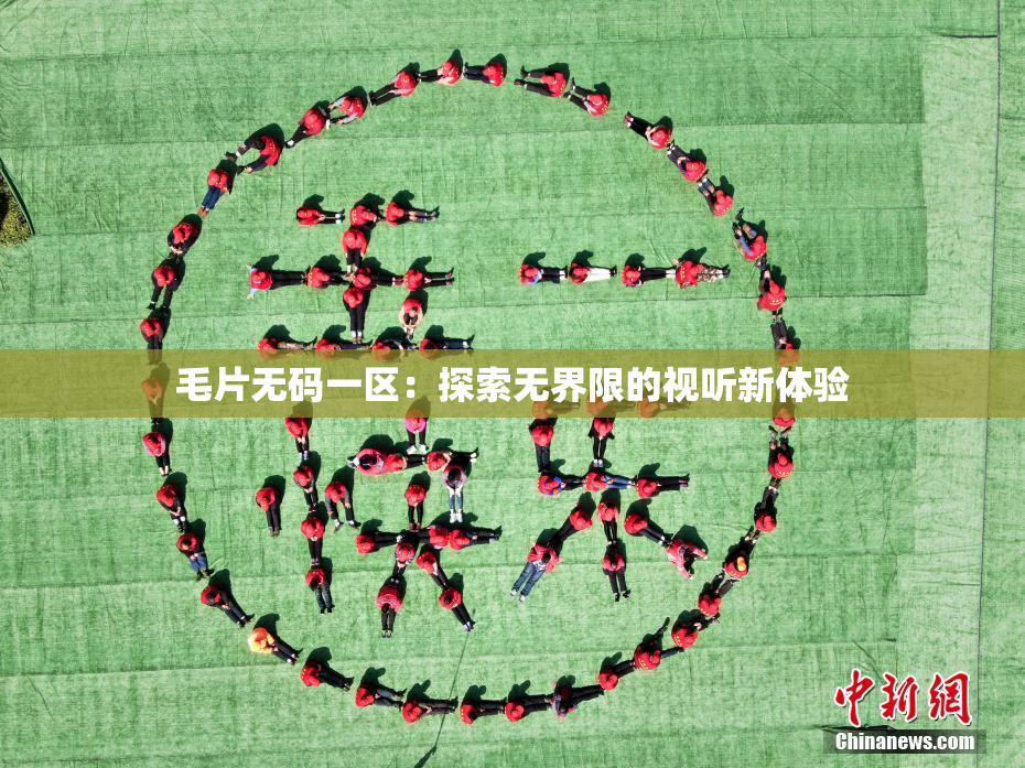 毛片无码一区：探索无界限的视听新体验