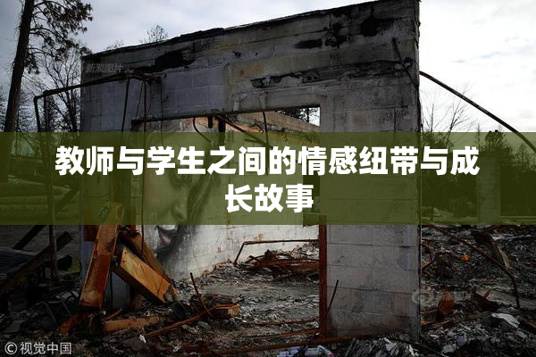 教师与学生之间的情感纽带与成长故事