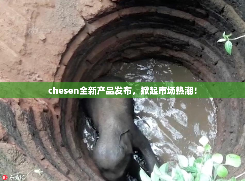 chesen全新产品发布，掀起市场热潮！