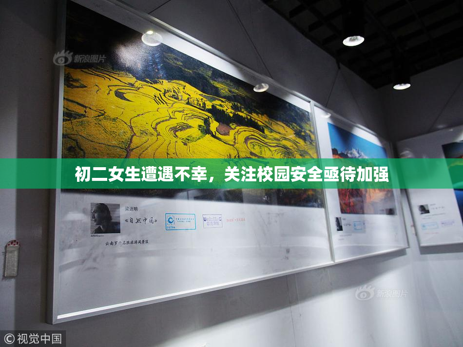 初二女生遭遇不幸，关注校园安全亟待加强