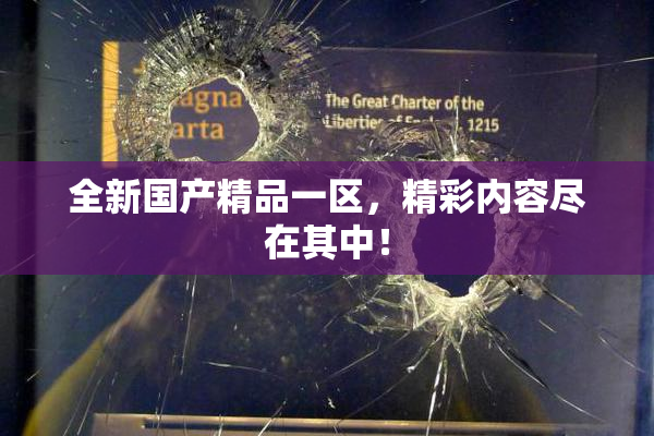 全新国产精品一区，精彩内容尽在其中！