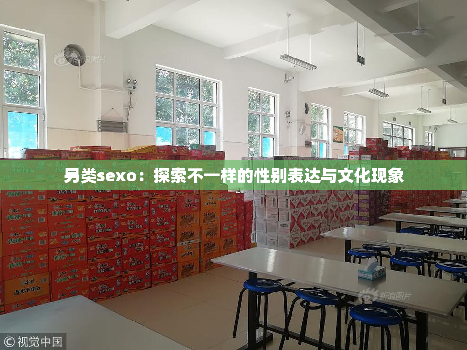 另类sexo：探索不一样的性别表达与文化现象