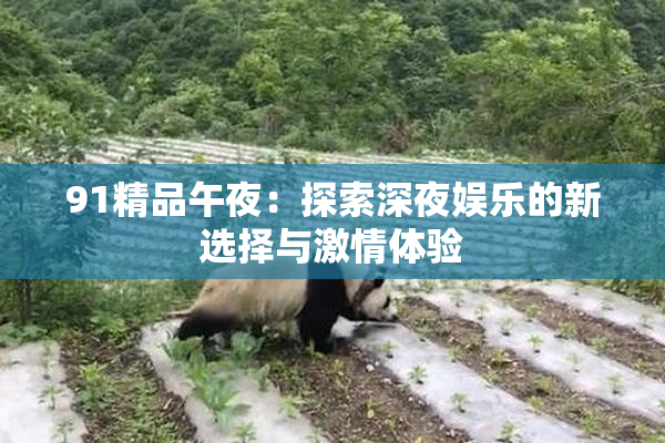 91精品午夜：探索深夜娱乐的新选择与激情体验