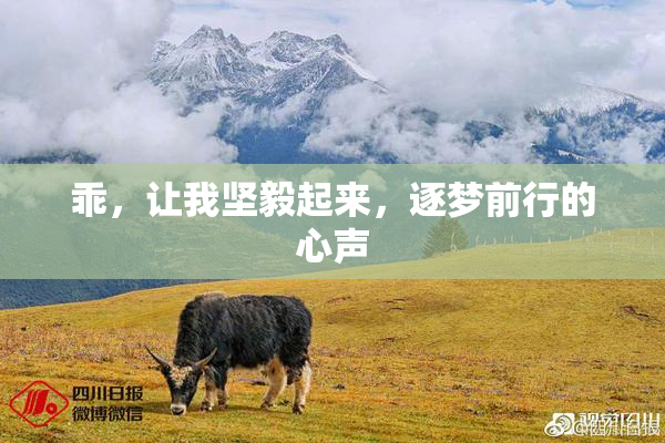乖，让我坚毅起来，逐梦前行的心声