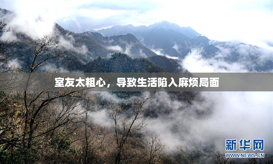 室友太粗心，导致生活陷入麻烦局面