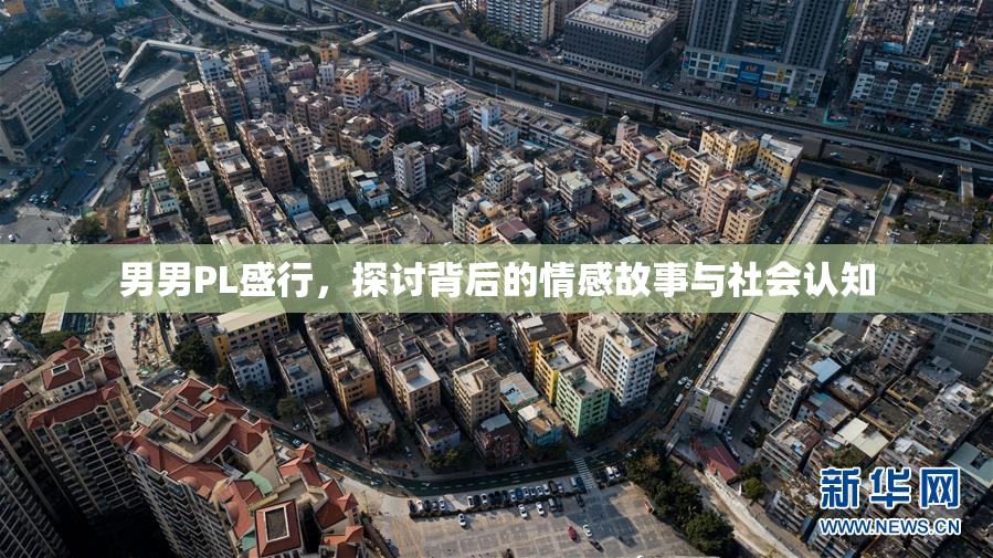男男PL盛行，探讨背后的情感故事与社会认知