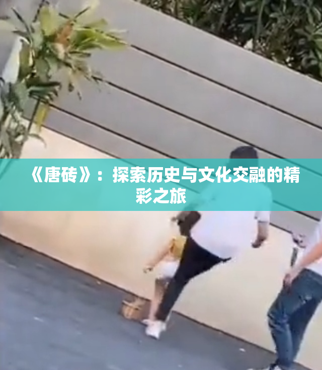 《唐砖》：探索历史与文化交融的精彩之旅