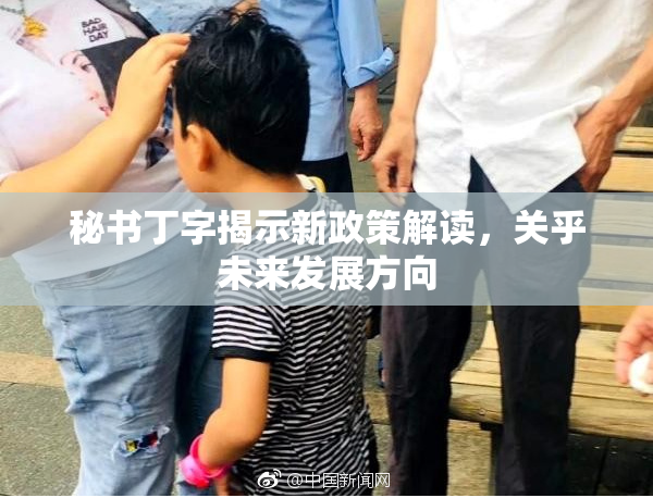 秘书丁字揭示新政策解读，关乎未来发展方向