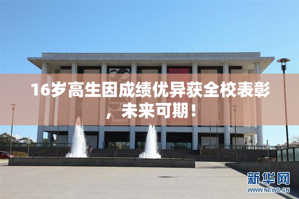 16岁高生因成绩优异获全校表彰，未来可期！