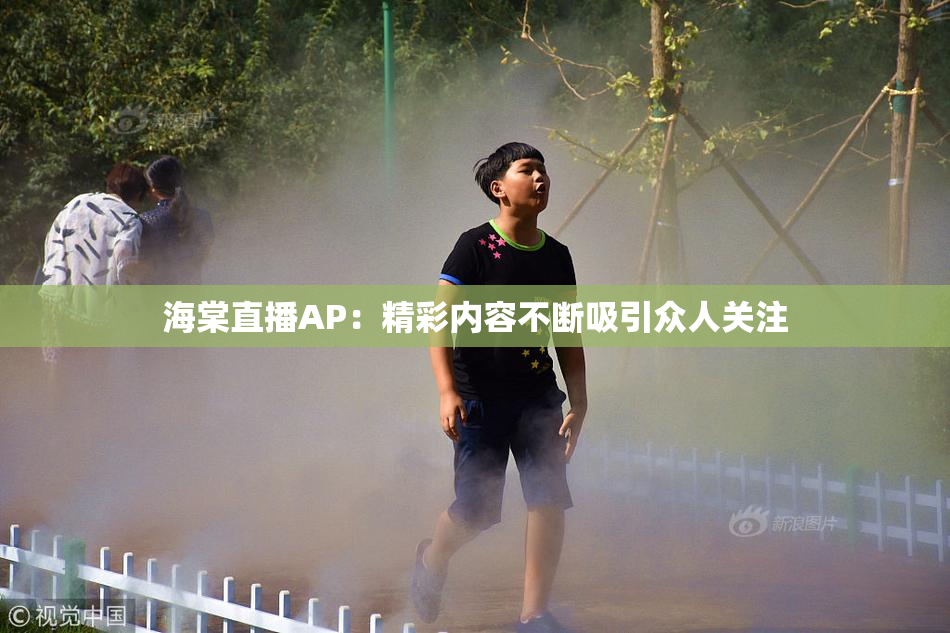 海棠直播AP：精彩内容不断吸引众人关注