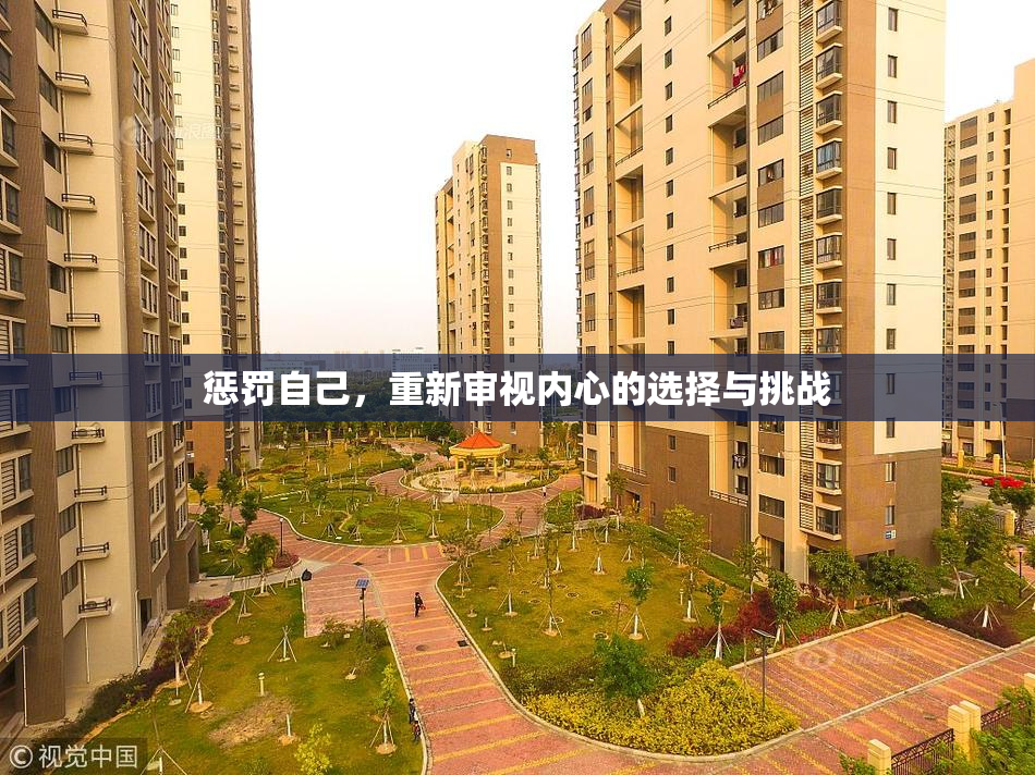 惩罚自己，重新审视内心的选择与挑战