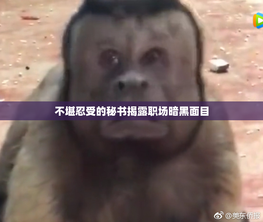 不堪忍受的秘书揭露职场暗黑面目