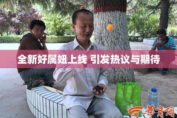 全新好属妞上线 引发热议与期待