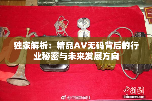 独家解析：精品AV无码背后的行业秘密与未来发展方向