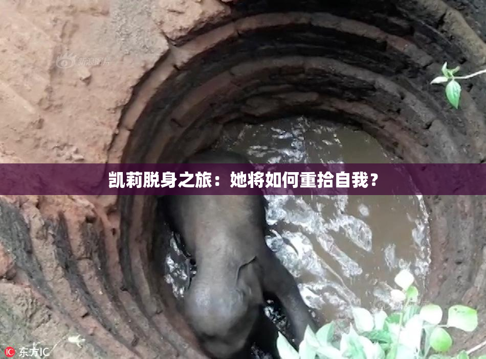 凯莉脱身之旅：她将如何重拾自我？
