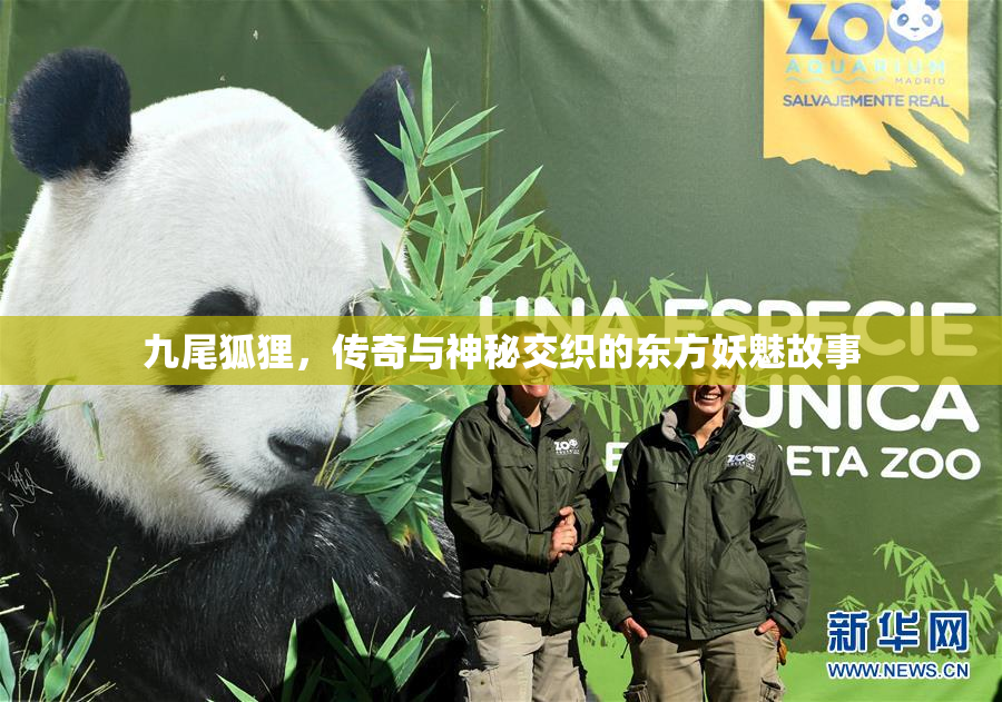 九尾狐狸，传奇与神秘交织的东方妖魅故事