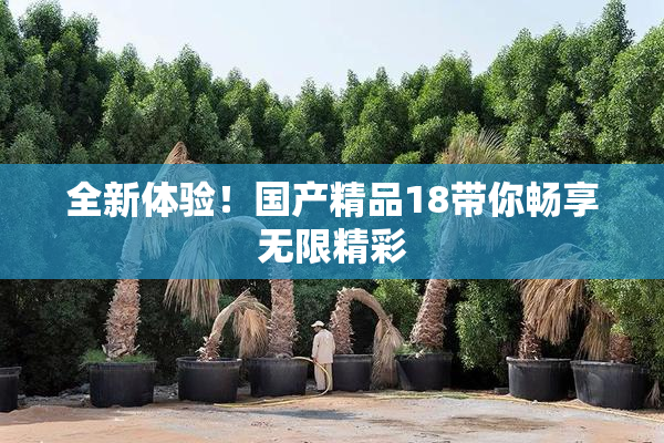 全新体验！国产精品18带你畅享无限精彩