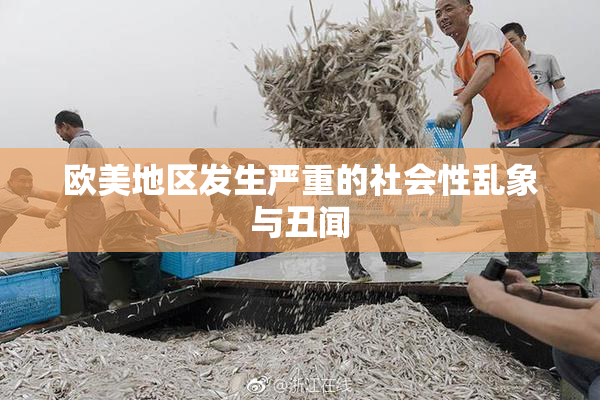 欧美地区发生严重的社会性乱象与丑闻