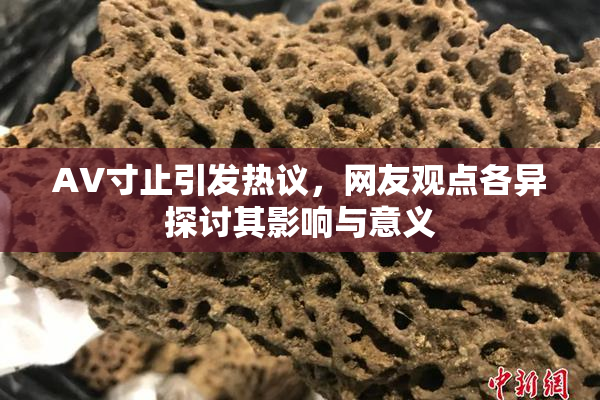 AV寸止引发热议，网友观点各异探讨其影响与意义