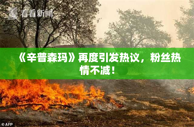 《辛普森玛》再度引发热议，粉丝热情不减！