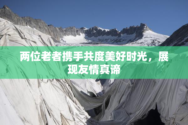 两位老者携手共度美好时光，展现友情真谛