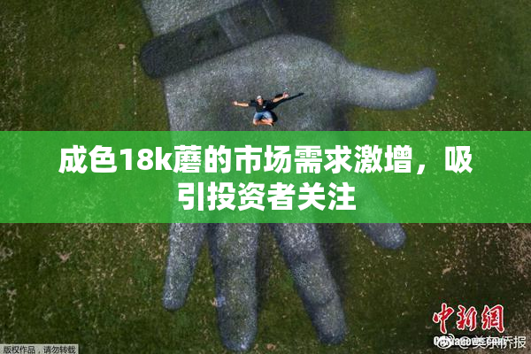 成色18k蘑的市场需求激增，吸引投资者关注