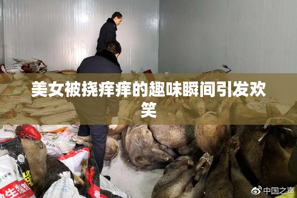 美女被挠痒痒的趣味瞬间引发欢笑