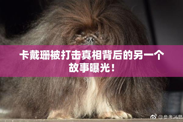 卡戴珊被打击真相背后的另一个故事曝光！