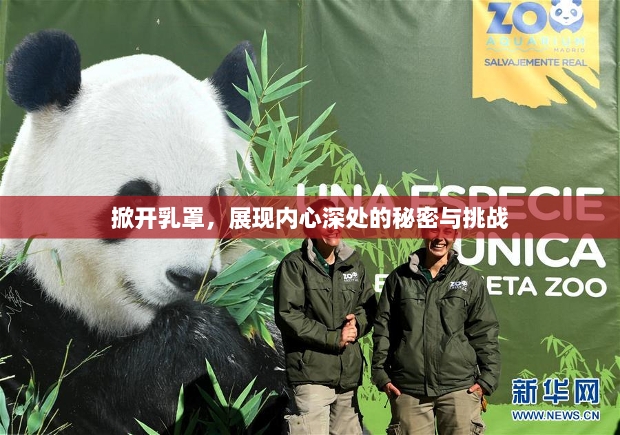掀开乳罩，展现内心深处的秘密与挑战