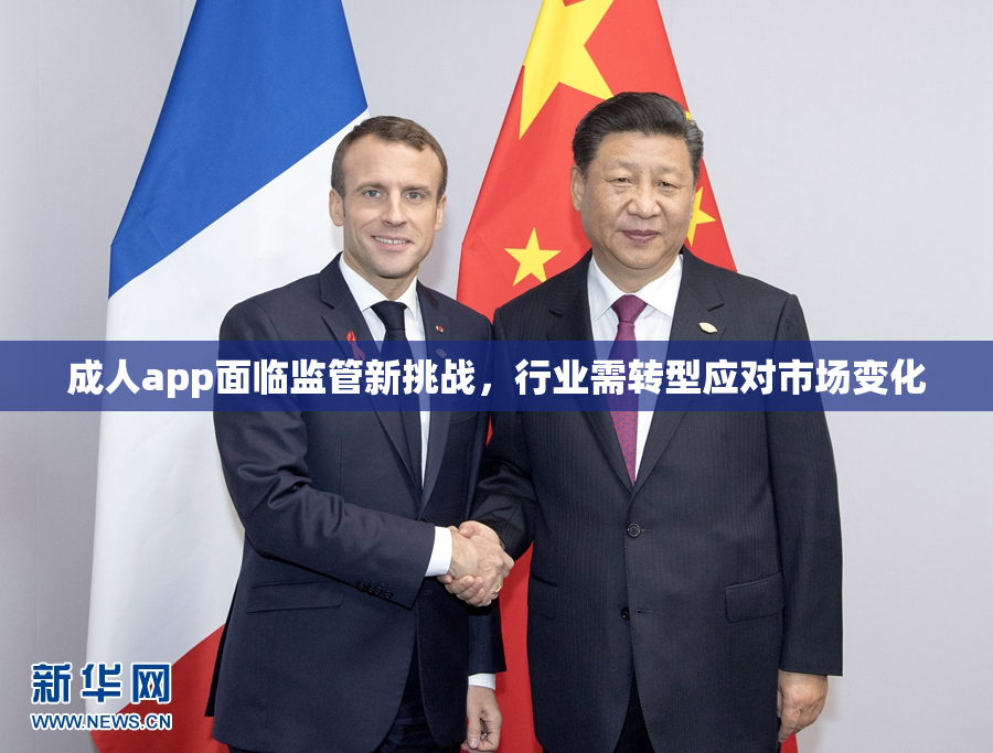 成人app面临监管新挑战，行业需转型应对市场变化