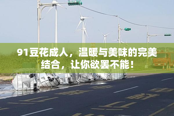 91豆花成人，温暖与美味的完美结合，让你欲罢不能！