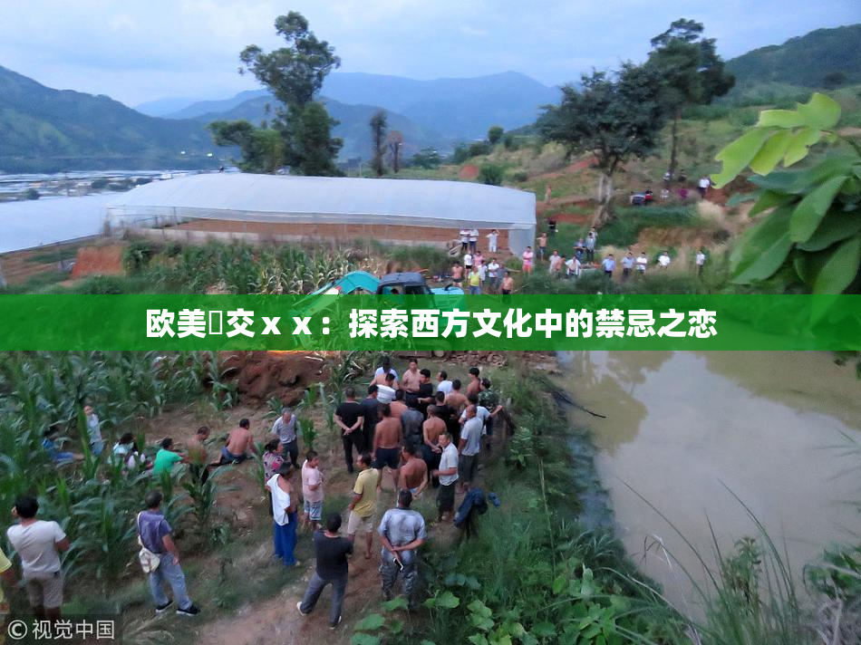 欧美嘼交ⅹⅹ：探索西方文化中的禁忌之恋