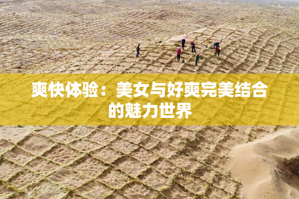 爽快体验：美女与好爽完美结合的魅力世界