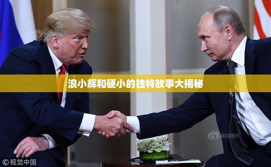 浪小辉和硬小的独特故事大揭秘