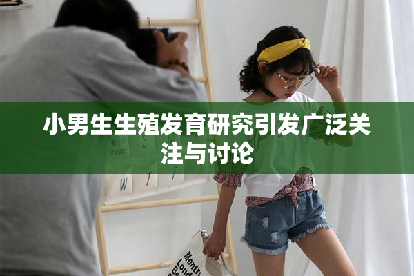 小男生生殖发育研究引发广泛关注与讨论