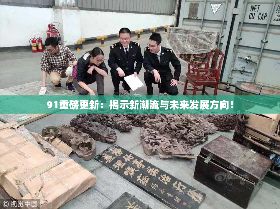 91重磅更新：揭示新潮流与未来发展方向！