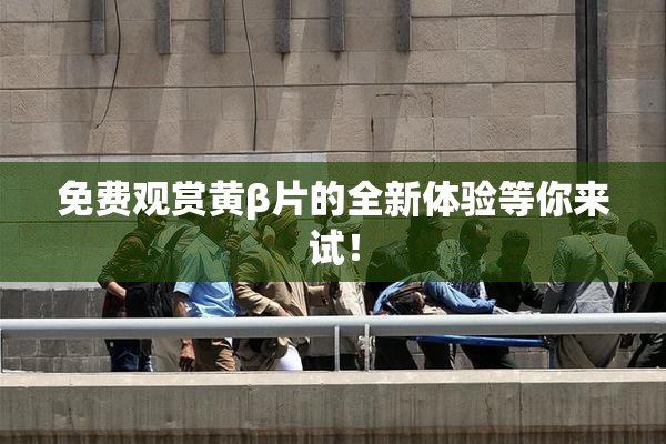 免费观赏黄β片的全新体验等你来试！