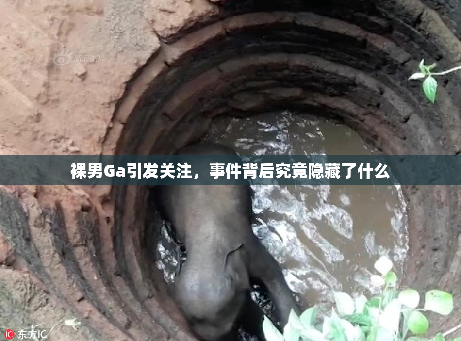 裸男Ga引发关注，事件背后究竟隐藏了什么
